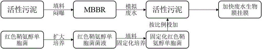 一种废水生物膜快速挂膜装置及方法与流程