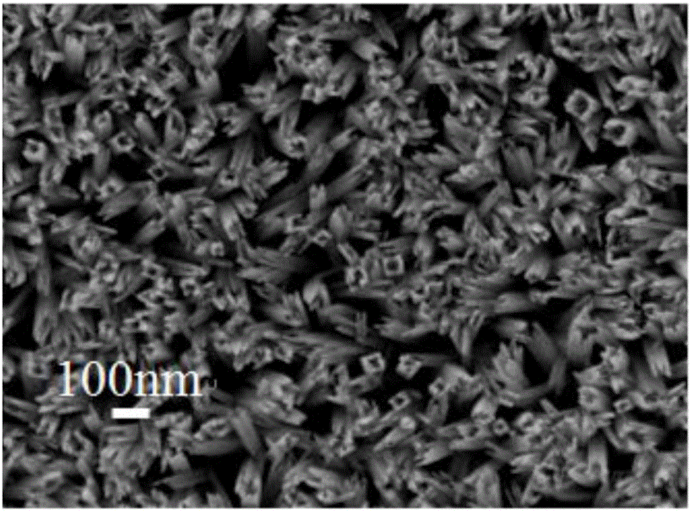 一种钛酸锶‑二氧化钛复合纳米管阵列薄膜及其制备方法与应用与流程