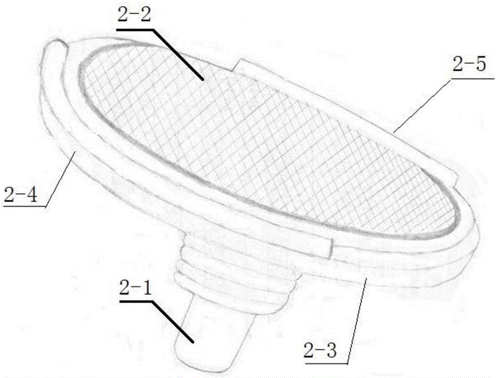 一种收集水体颗粒有机物的便携式人工抽滤器的制作方法与工艺