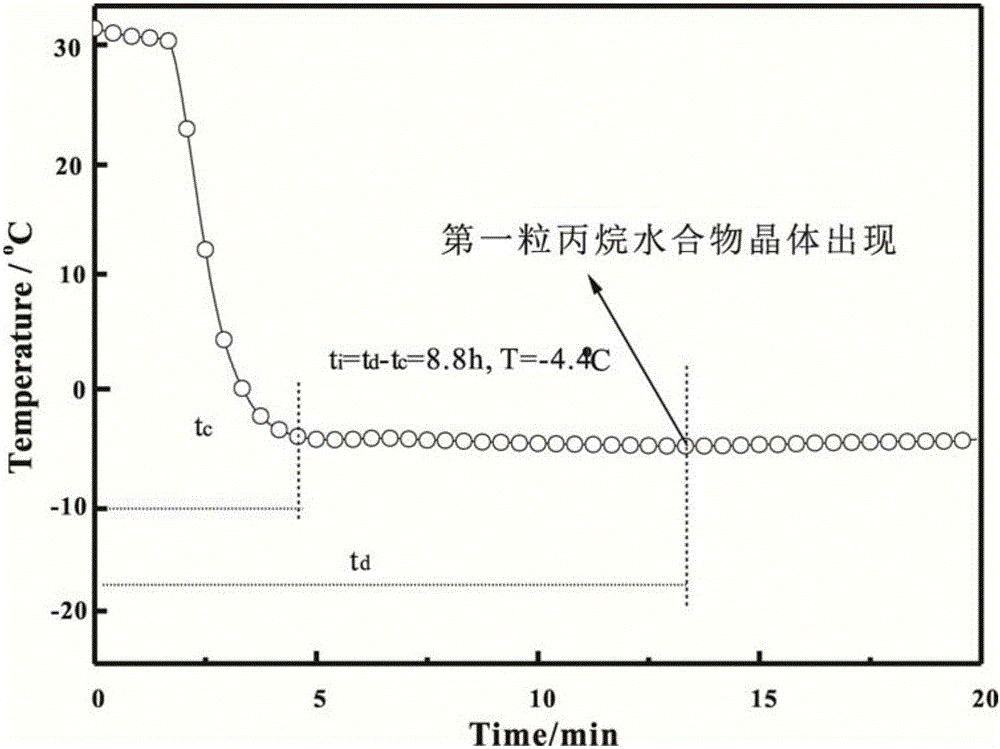 一種精確觀測氣體水合物誘導時間的裝置和方法與流程