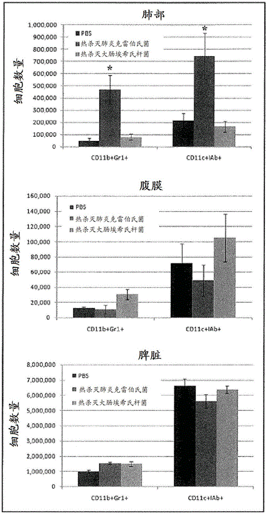 抗微生物免疫調(diào)節(jié)的制作方法與工藝