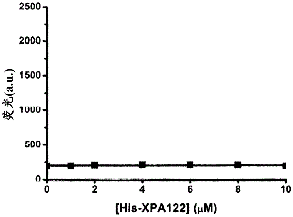 用于在細(xì)胞中標(biāo)記蛋白質(zhì)或其它生物分子的基于金屬螯合的熒光探針的制作方法與工藝