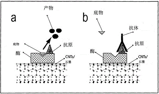 用于检测感染及相关病症的生物传感器的制作方法与工艺