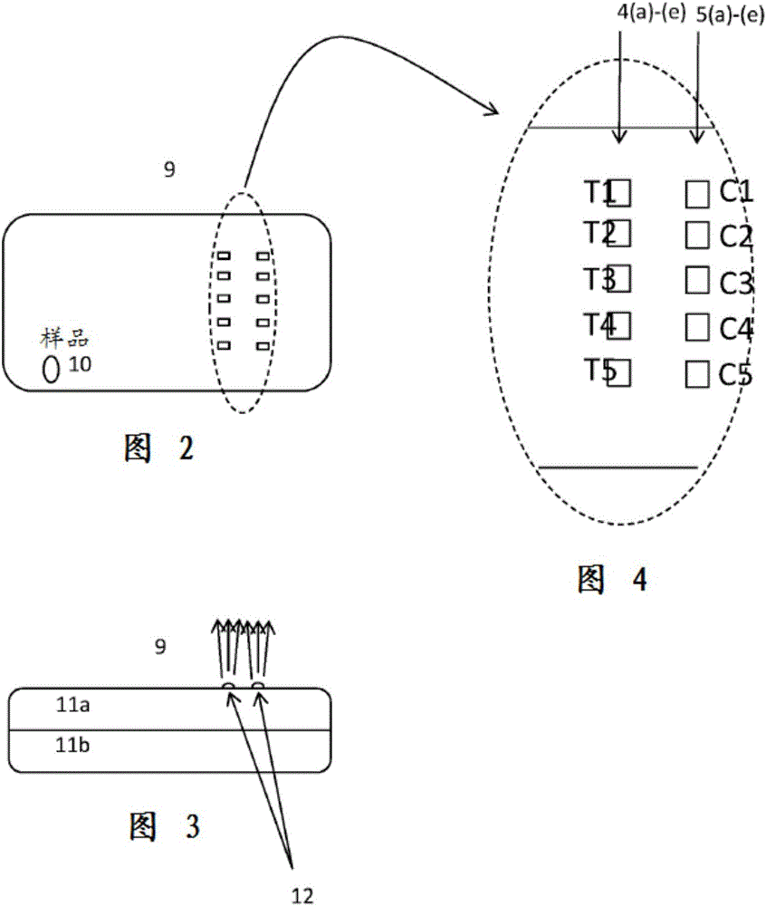 基于合成線的側(cè)流免疫測定的制作方法與工藝