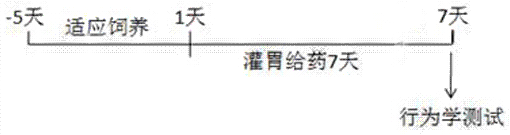 灰毛漿果楝A及其類似物在制備抗抑郁癥藥物中的用途的制造方法與工藝