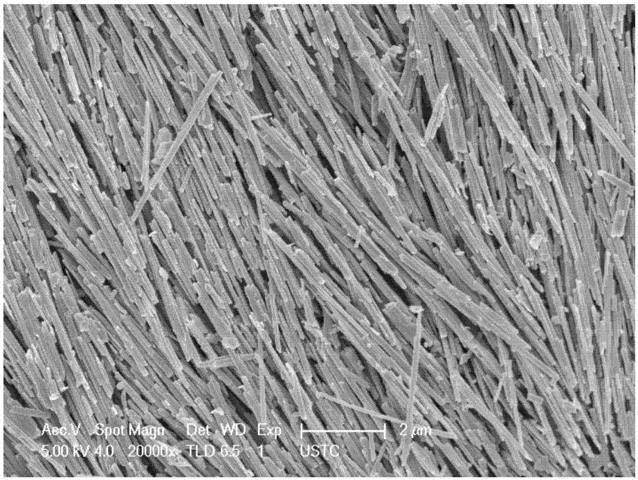 一种纳米纤维状聚钼酸类材料硫化制备二硫化钼纳米管的方法与流程