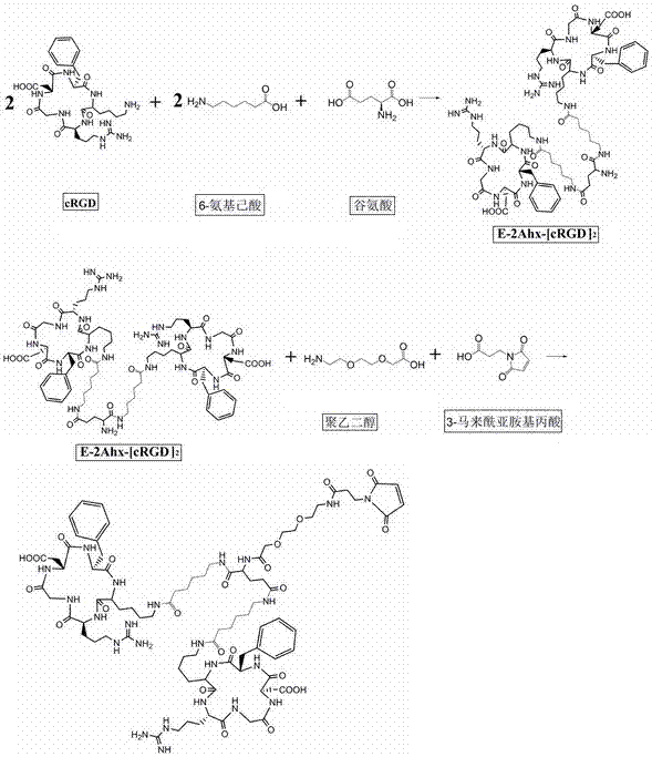 增强整合素受体亲和力及靶细胞摄取能力的结构分子及其应用的制作方法