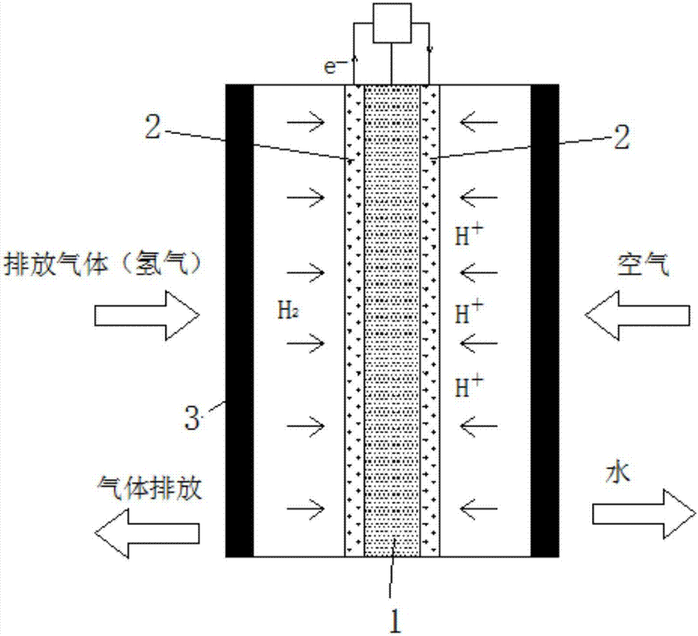 電解消毒排放氫氣處理裝置的制造方法