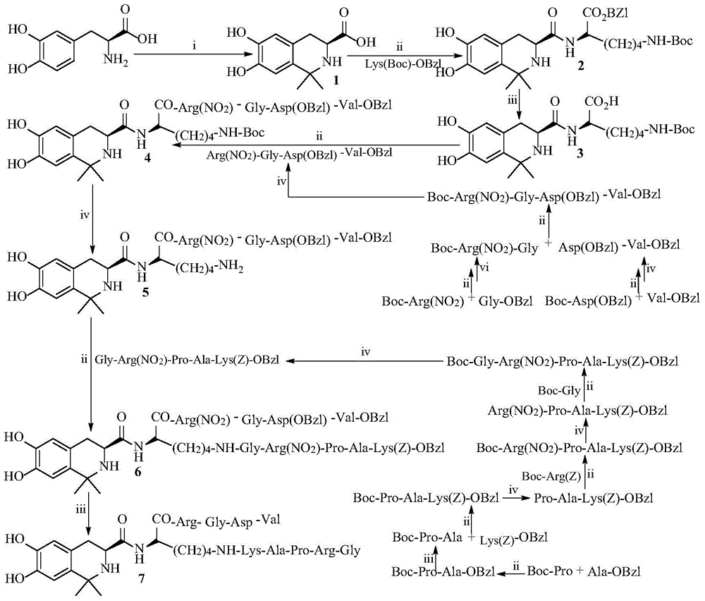 四氢异喹啉-3-甲酰-K(GRPAK)RGDV,其合成,活性及应用的制造方法与工艺