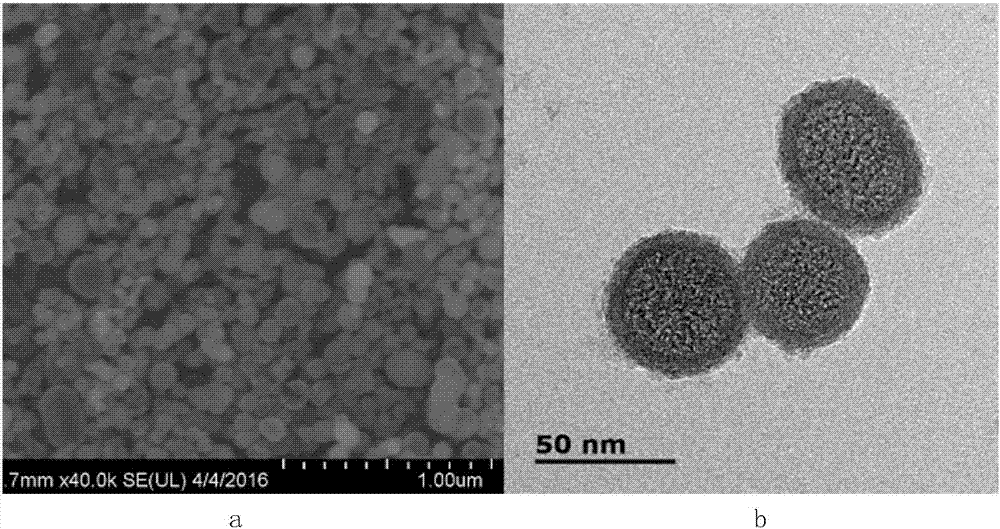 二氧化钛纳米空心球的制备方法与流程