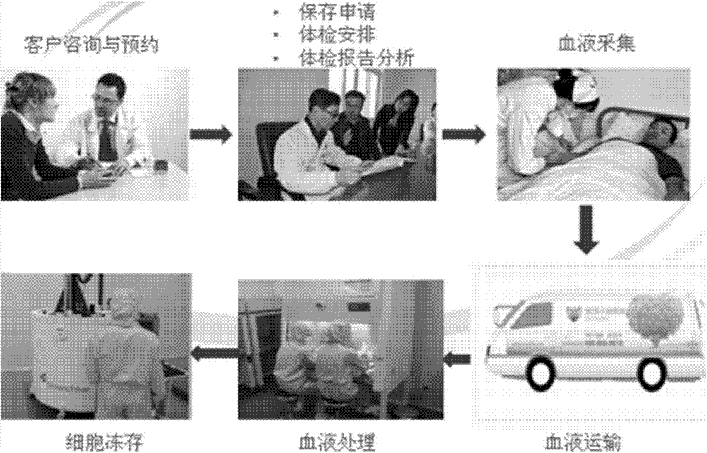 從成人外周血中自動化分離免疫細胞并提取PRP的方法與流程