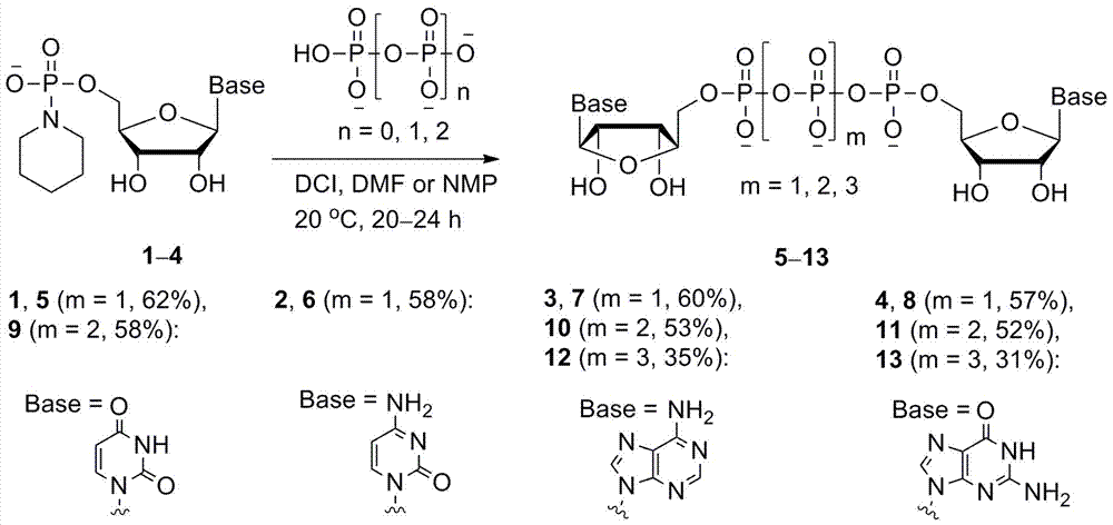 一种合成对称双核苷三磷酸、四磷酸和五磷酸钠盐的方法与流程