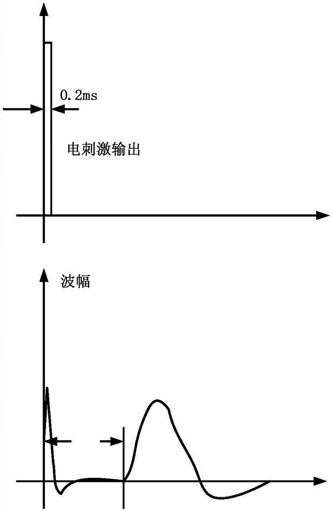 電位儀檢測神經傳導速度的技術領域,尤其涉及一種神經纖維的傳導速度