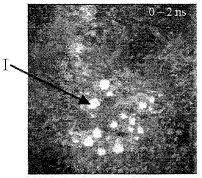 生物組織內如黑色素的內源性熒光團的特異性3D檢測、可視化和/或量化的非侵入性方法與流程