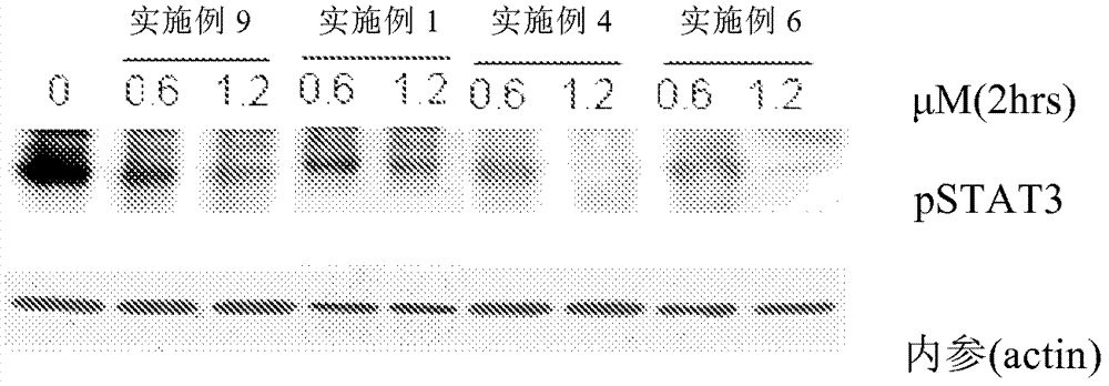 氘代的苯基氨基嘧啶化合物以及包含該化合物的藥物組合物的制造方法與工藝