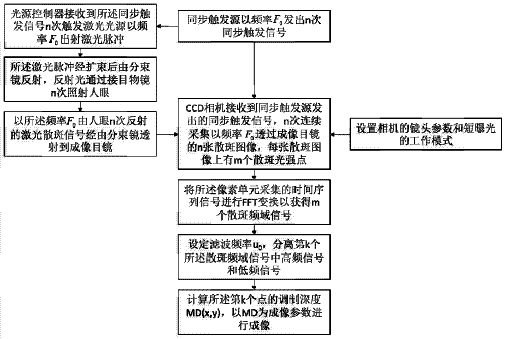 一種眼底光學全場微血管造影成像裝置及方法與流程