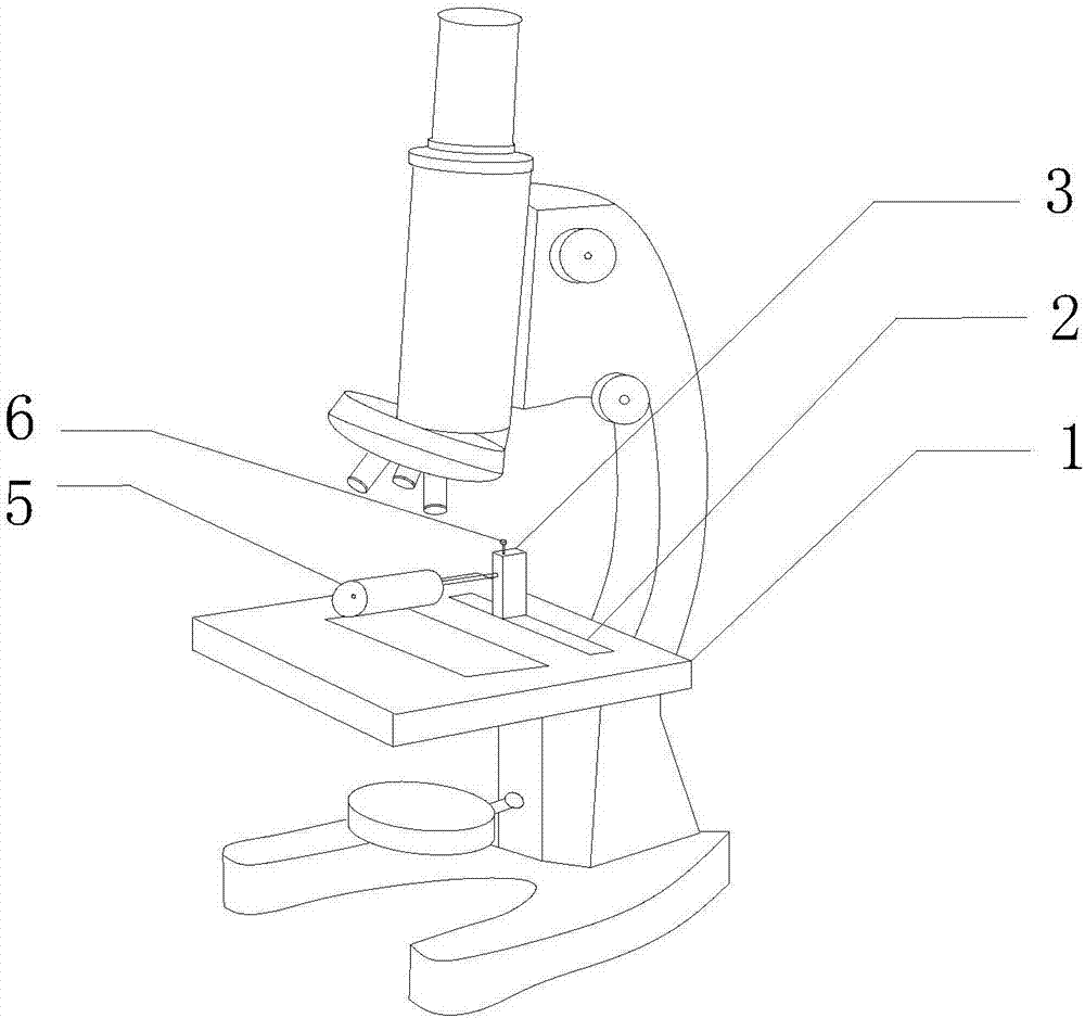 显微镜结构图手绘图片