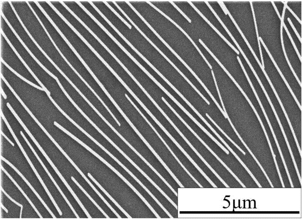 一种金属纳米线的定向排布方法与流程