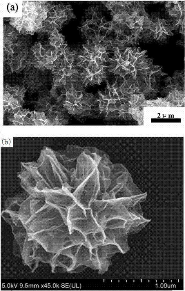 一种花状α‑FeOOH多孔微纳米球及其制备方法与流程
