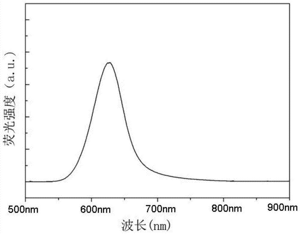 近红外CdSexTe1‑x量子点荧光动物体内标记的方法及其用途与流程