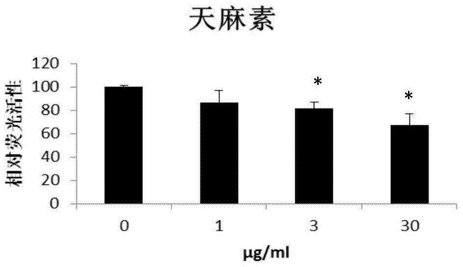 天麻素/天麻粉在制備抗肝纖維化藥物中的應(yīng)用的制造方法與工藝