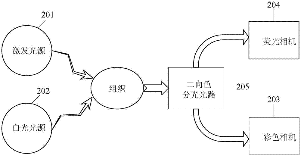 內(nèi)窺式熒光成像輔助穿刺系統(tǒng)的制造方法與工藝