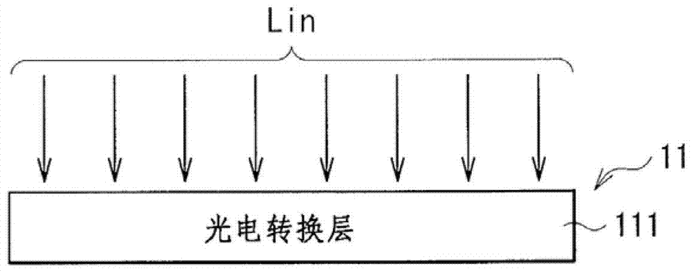 摄像装置和摄像显示系统的制造方法