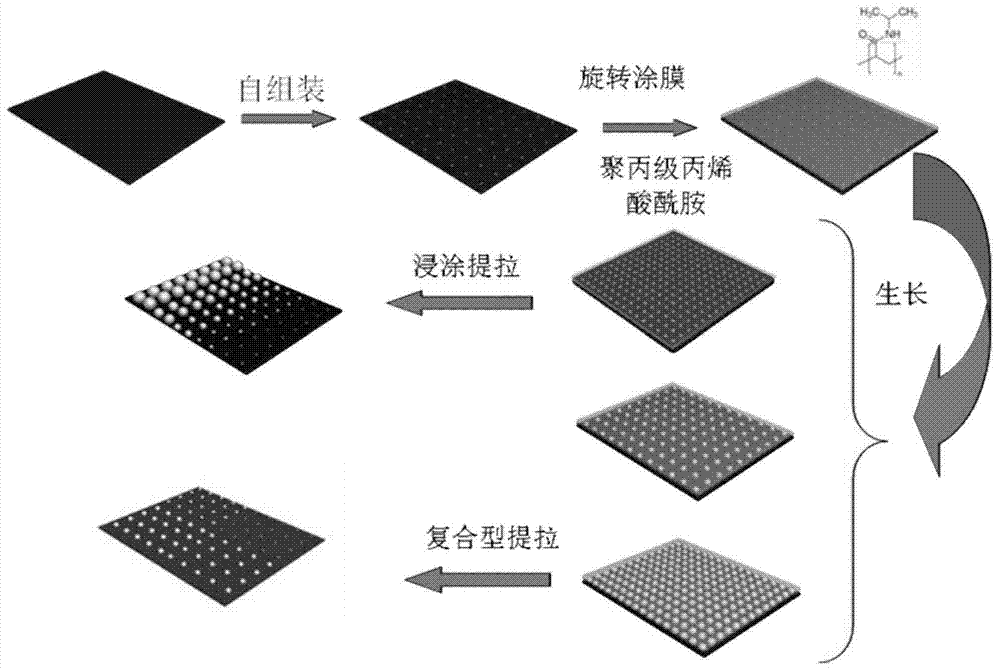 一種多元化金屬納米結構的制備方法與流程