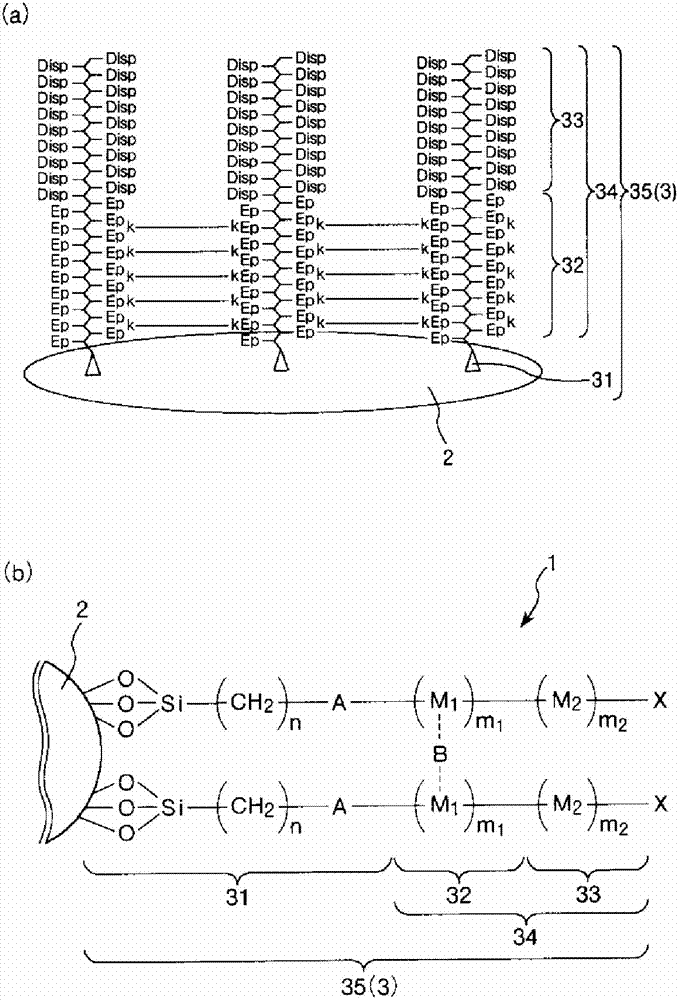 电泳粒子、电泳粒子的制造方法、电泳分散液、电泳片、电泳装置和电子设备与流程