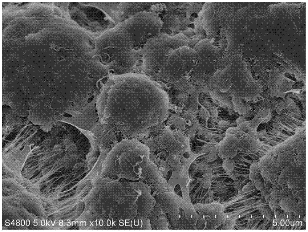 一种超高分子量聚乙烯复合材料及其制备方法与流程