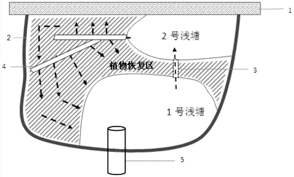 一種潮間帶鹽沼濕地的恢復方法與流程