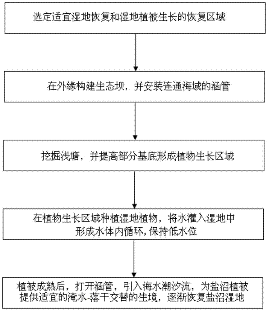 一種潮間帶鹽沼濕地的恢復(fù)方法與流程