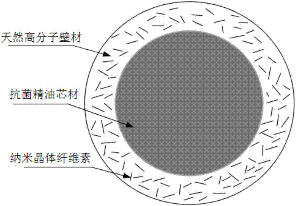 一种抗菌微胶囊及其制备方法和抗菌包装膜与流程