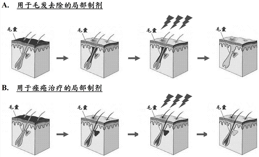 用于靶向熱調(diào)節(jié)的組合物和方法與流程