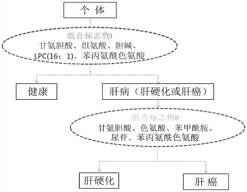 一種新的血清代謝物的組合及其作為肝癌診斷標志物的用途的制作方法與工藝