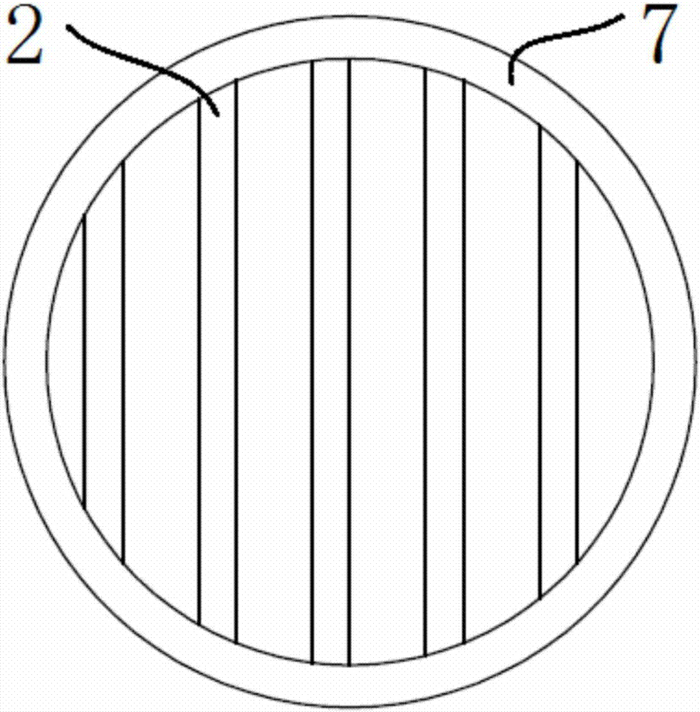 一种西瓜子房切片装置的制作方法