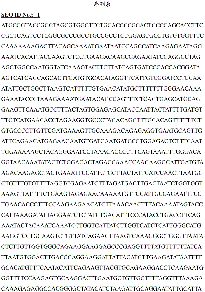 IDE 作為用于頭皮病癥的生物標(biāo)記的用途的制造方法與工藝