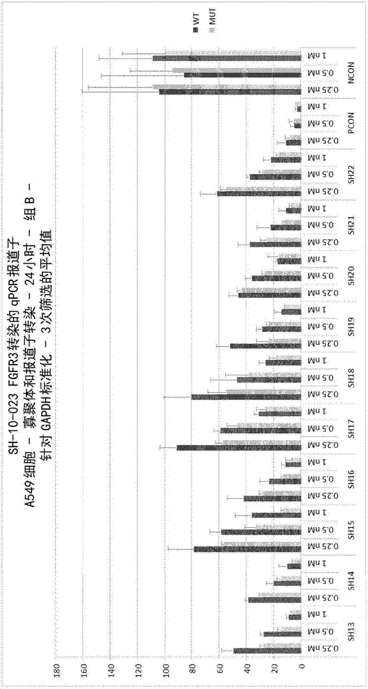 用于調(diào)節(jié)FGFR3的表達(dá)的組合物和方法與流程