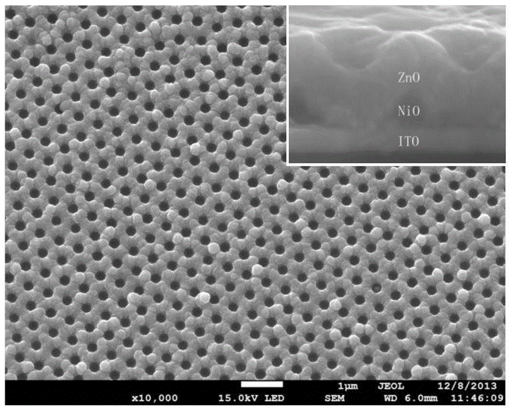 一种ZnO/NiO异质结构有序多孔薄膜及其制备方法与流程