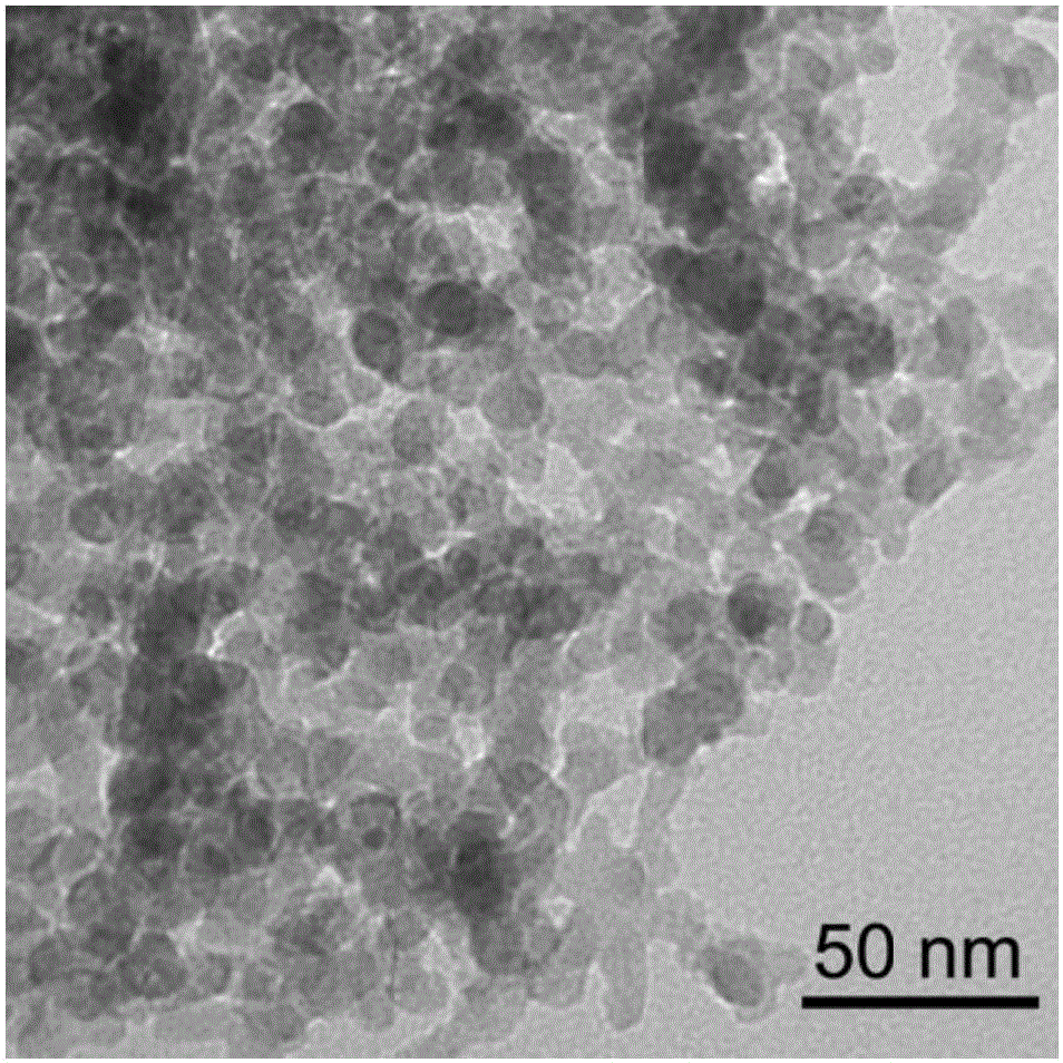 一种二氧化锡纳米颗粒的制备方法与流程