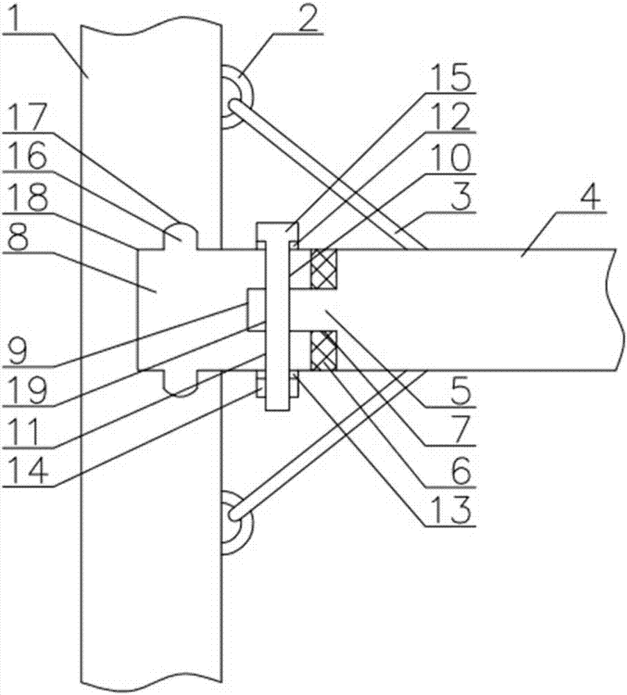 新型畜牧养殖用牛舍的制作方法与工艺