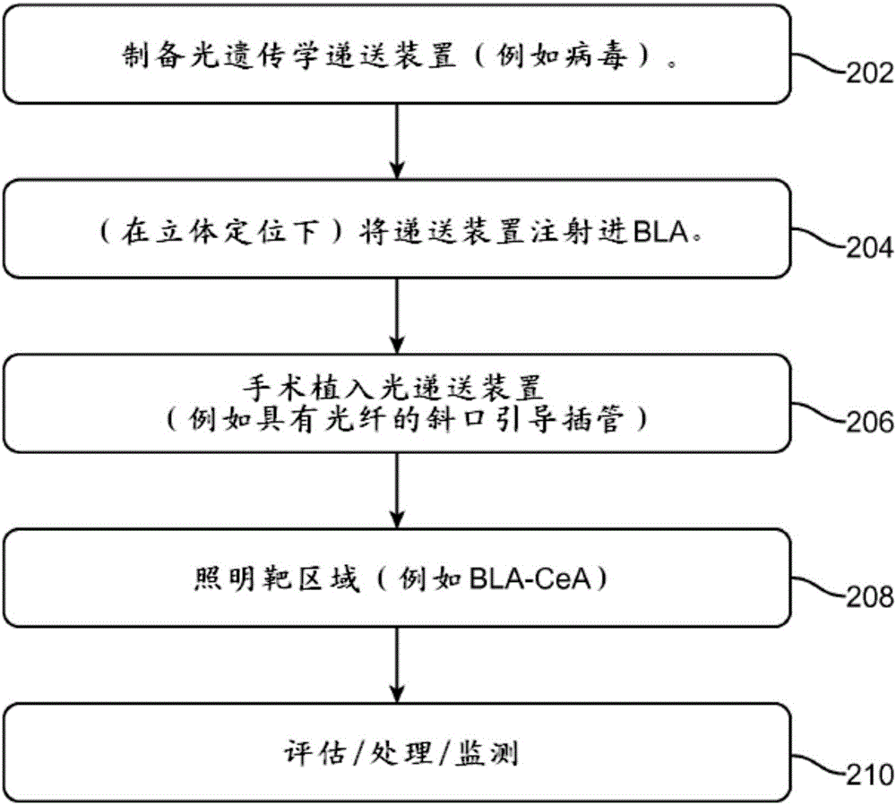 光控CNS功能障碍的制作方法与工艺