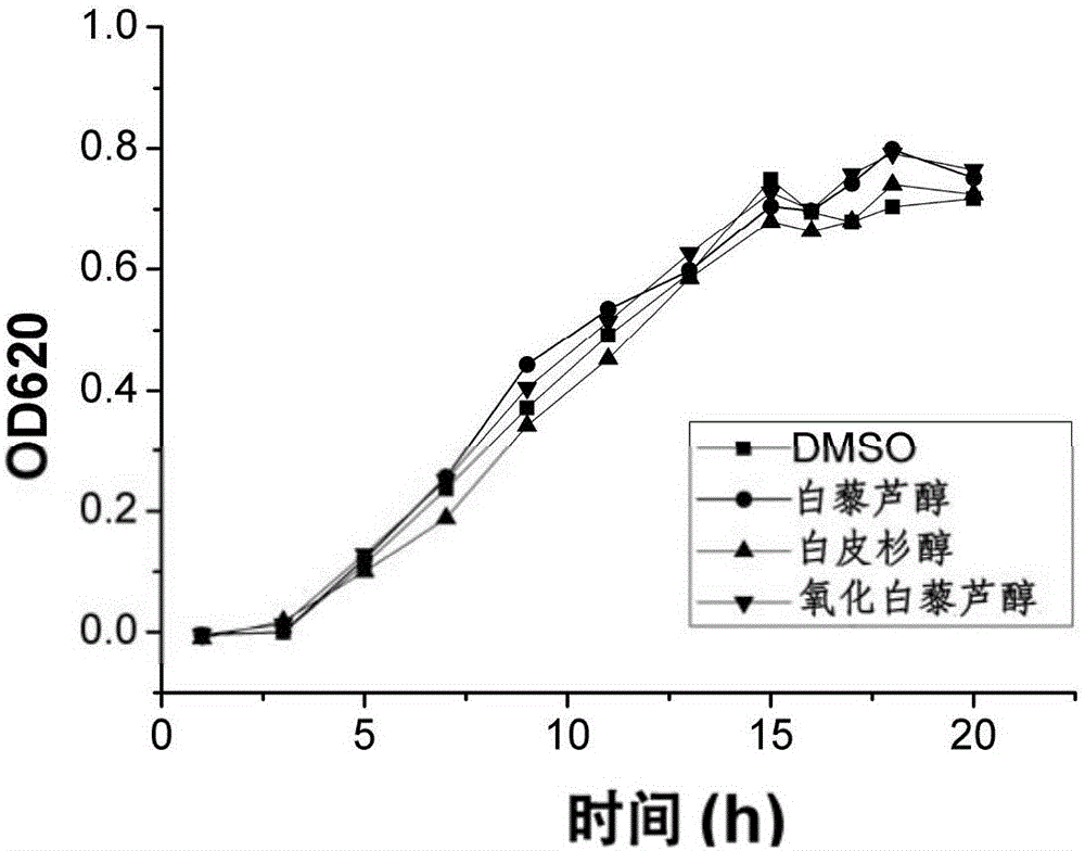 芪類(lèi)化合物在抑制銅綠假單胞菌群體感應(yīng)系統(tǒng)中的應(yīng)用的制作方法與工藝