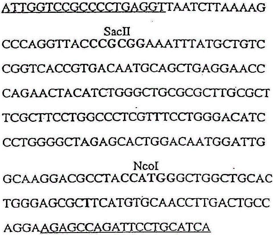 α ?半乳糖苷酶缺陷的治療的制作方法與工藝