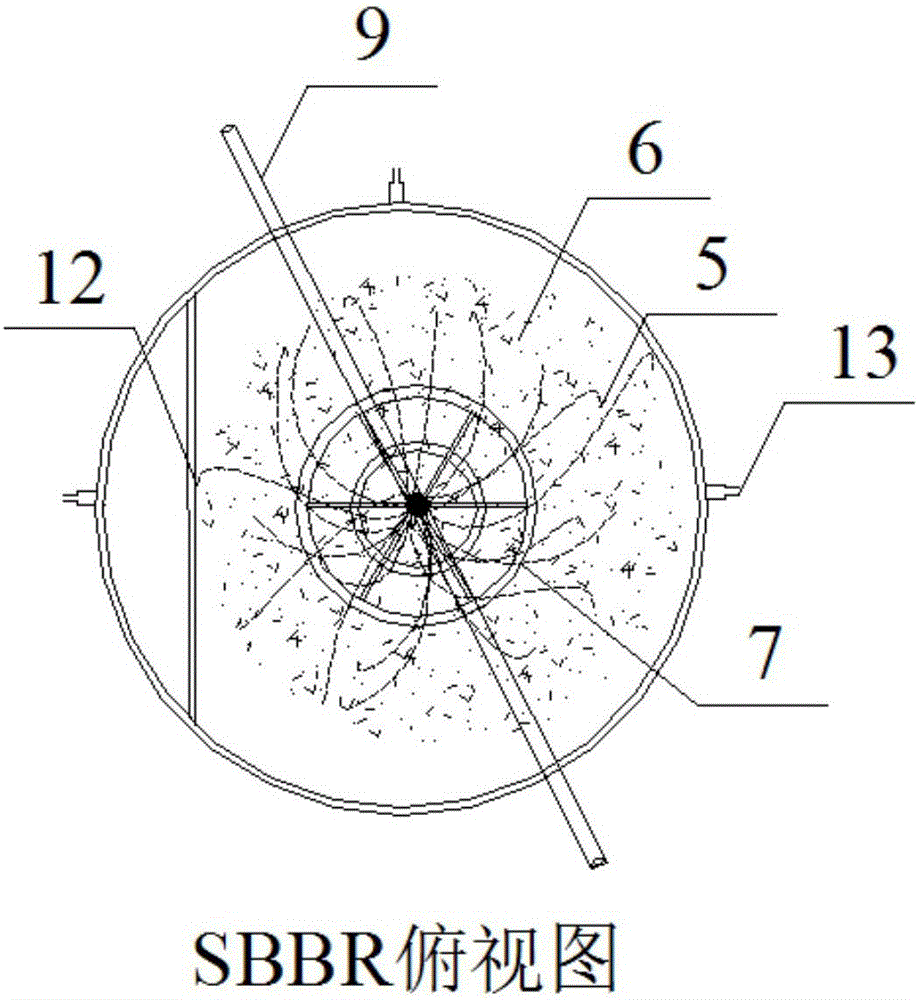 針對中水回用的生態(tài)碳纖維SBBR與人工濕地組合處理系統(tǒng)及處理方法與流程