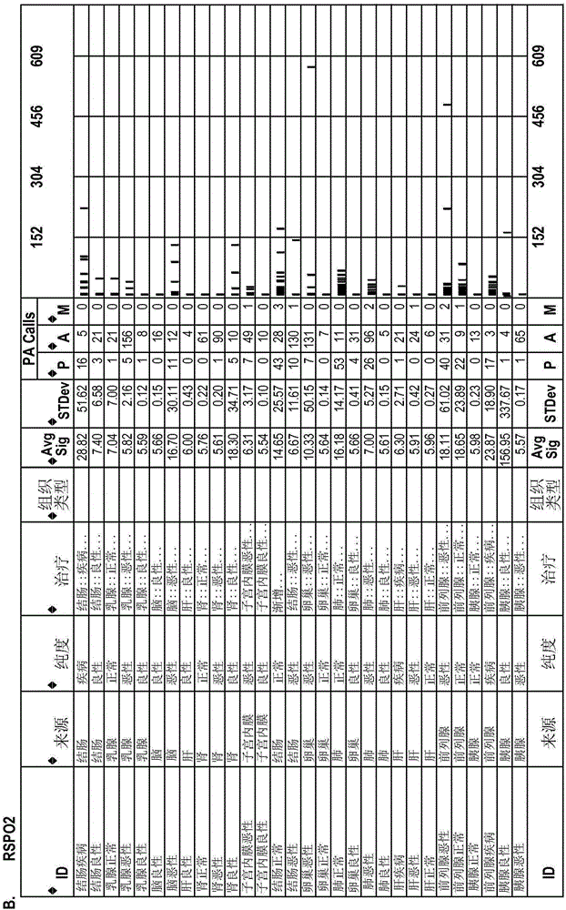 RSPO結(jié)合劑和其應(yīng)用的制作方法與工藝