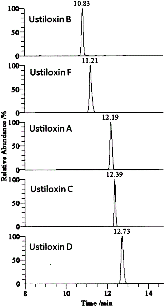 產(chǎn)五種稻曲病菌毒素的稻綠核菌的有效分離方法與流程