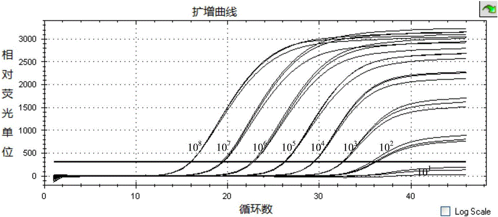 牛病毒性腹瀉?粘膜病病毒的實(shí)時(shí)熒光定量PCR檢測(cè)試劑盒及其專用引物和探針的制作方法與工藝