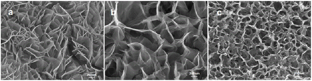 一种铁类水滑石纳米片阵列的一步电合成方法与流程