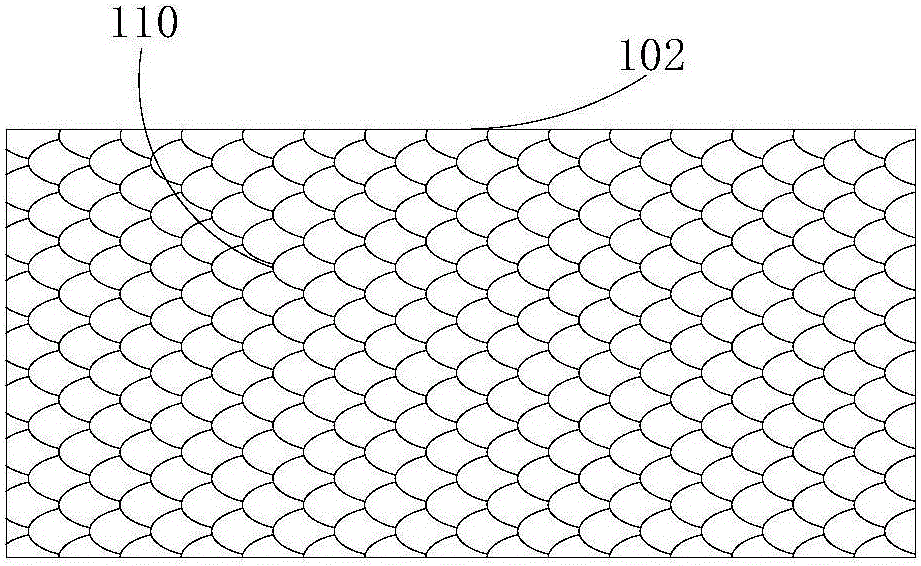 魚鱗降噪機的制作方法與工藝